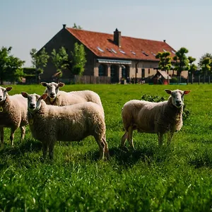 Hoevehotel Ter Haeghe Hotel